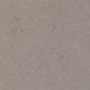 FOSSIL NAUTILIUS 850  64X126