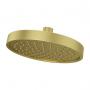 CONTEMPRA RAINCAN SHOWERHEAD