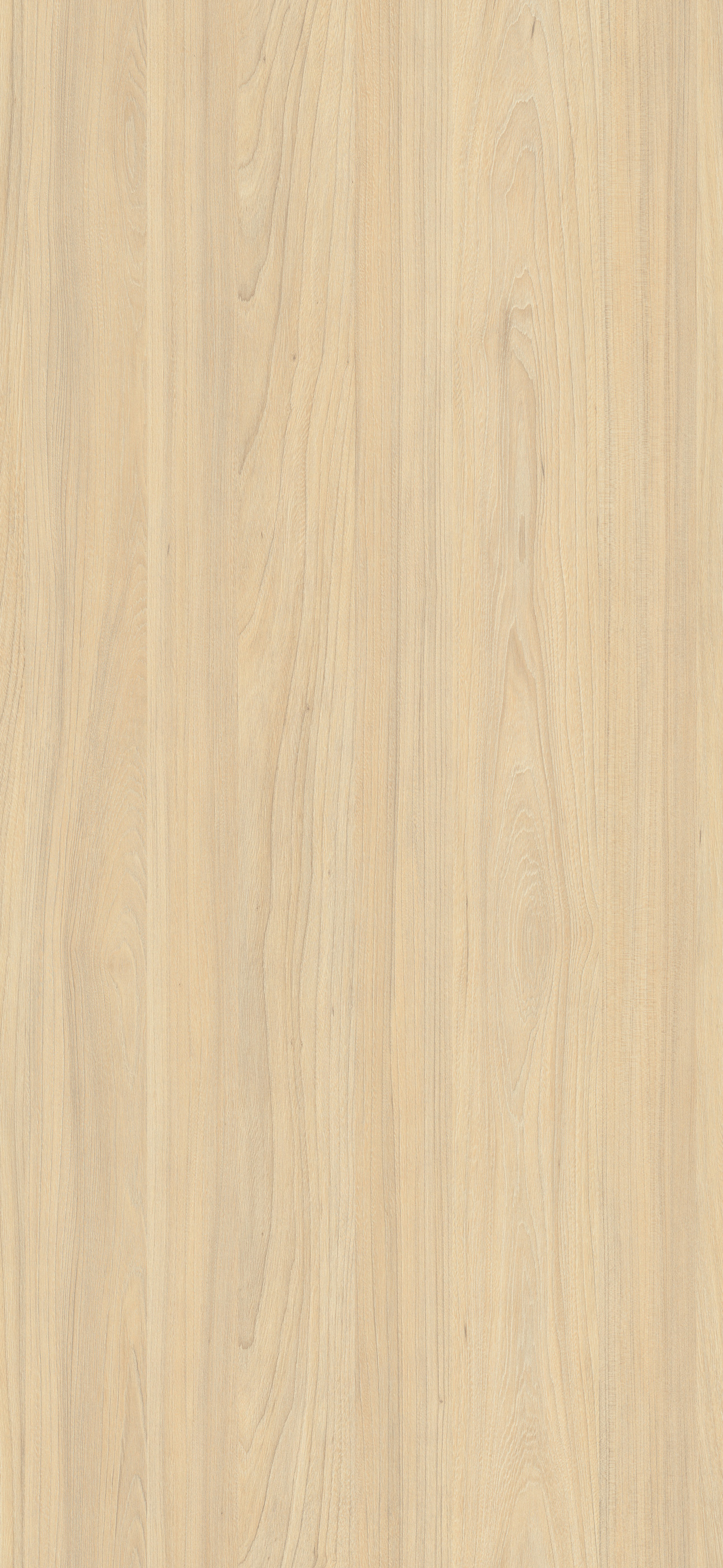 SP OLMO BOVARY ATLAS 4X8 19MM