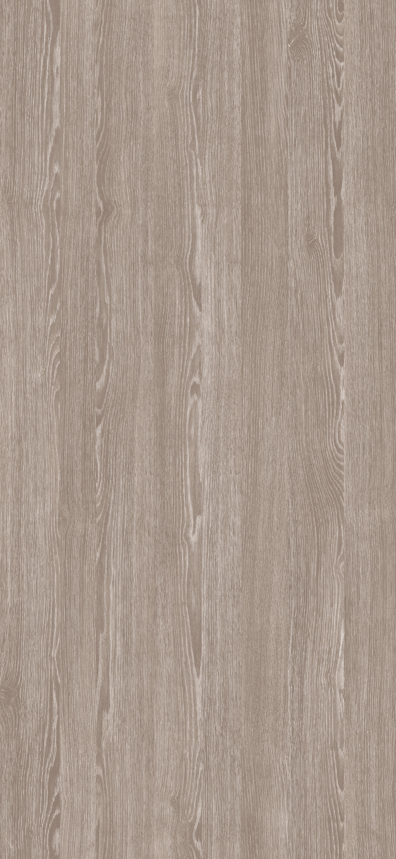 ROBLE JOPLIN MESURA 4X8 19MM