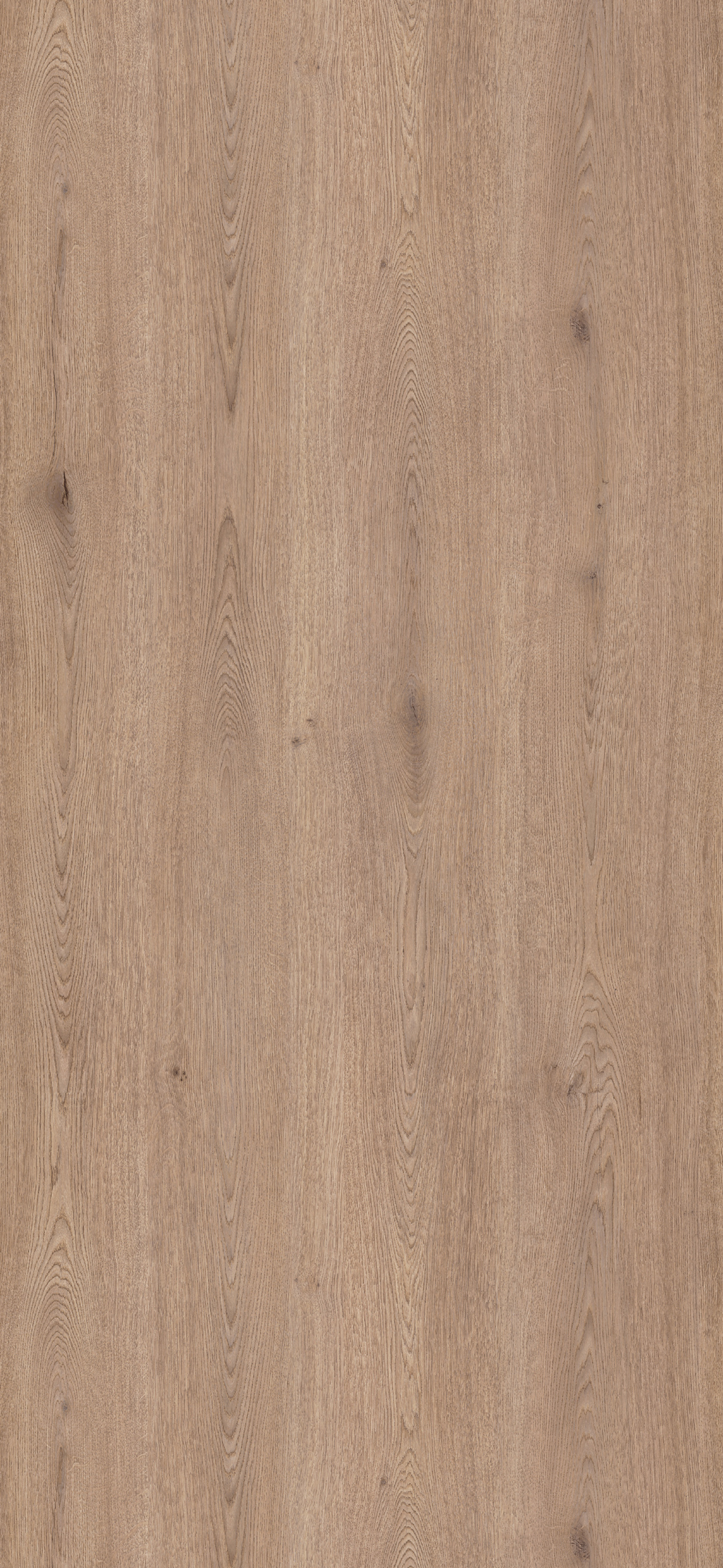 SP ROBLE BARLOVENT 7X9 19MM