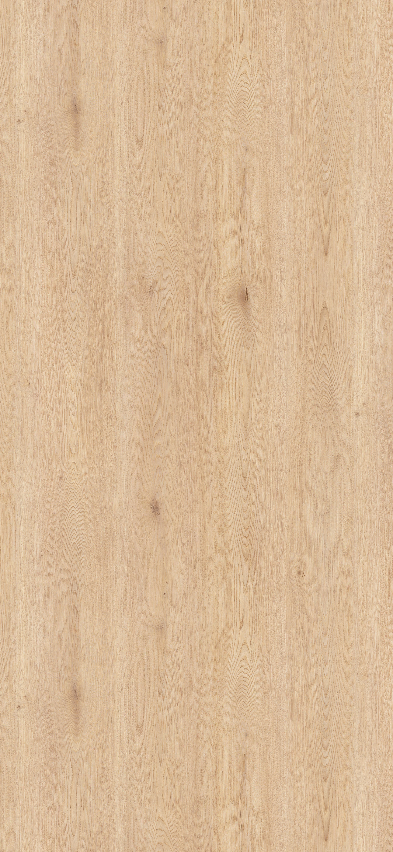 SP ROBLE ESTAI FADO 7X9 19MM