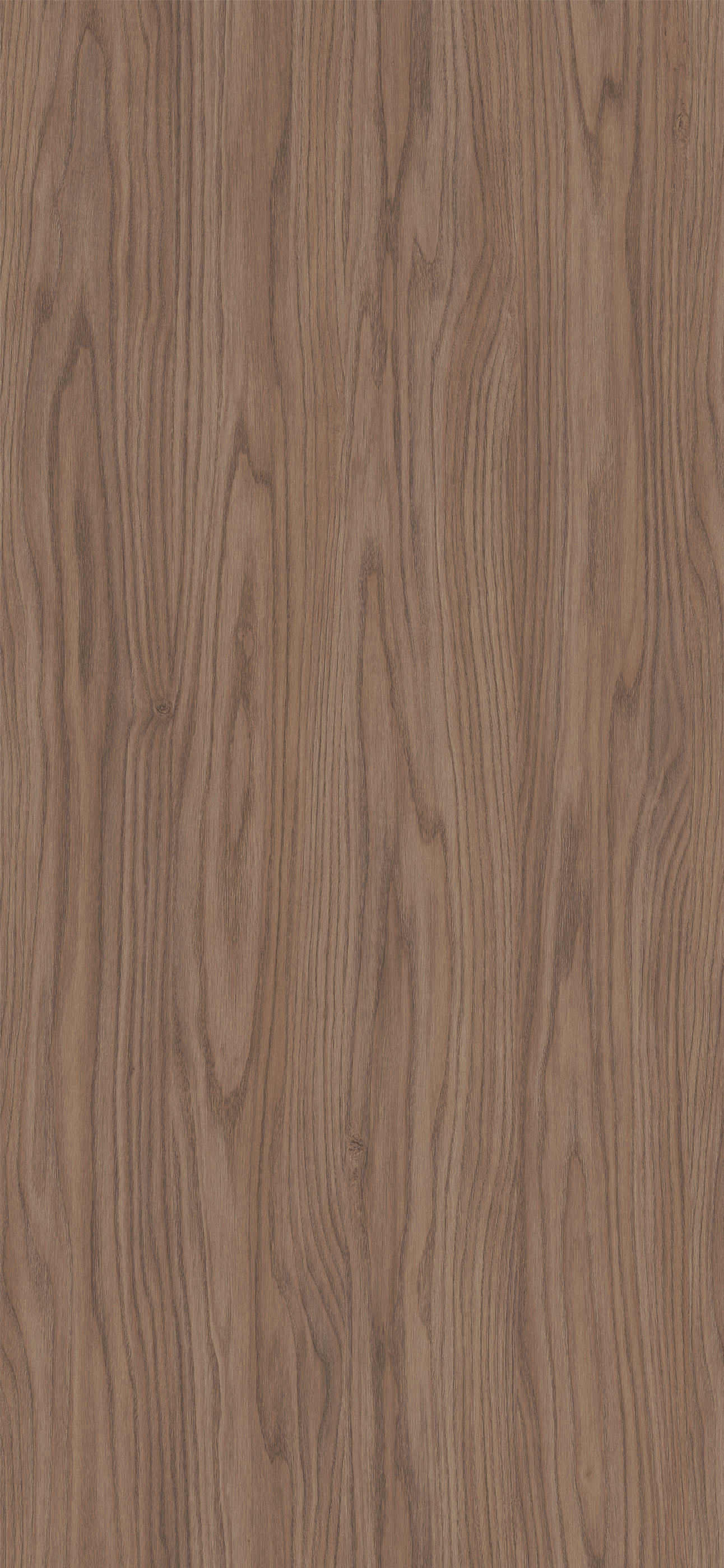 ROBLE COOPER MESURA 4X8&nbsp;&nbsp;19MM