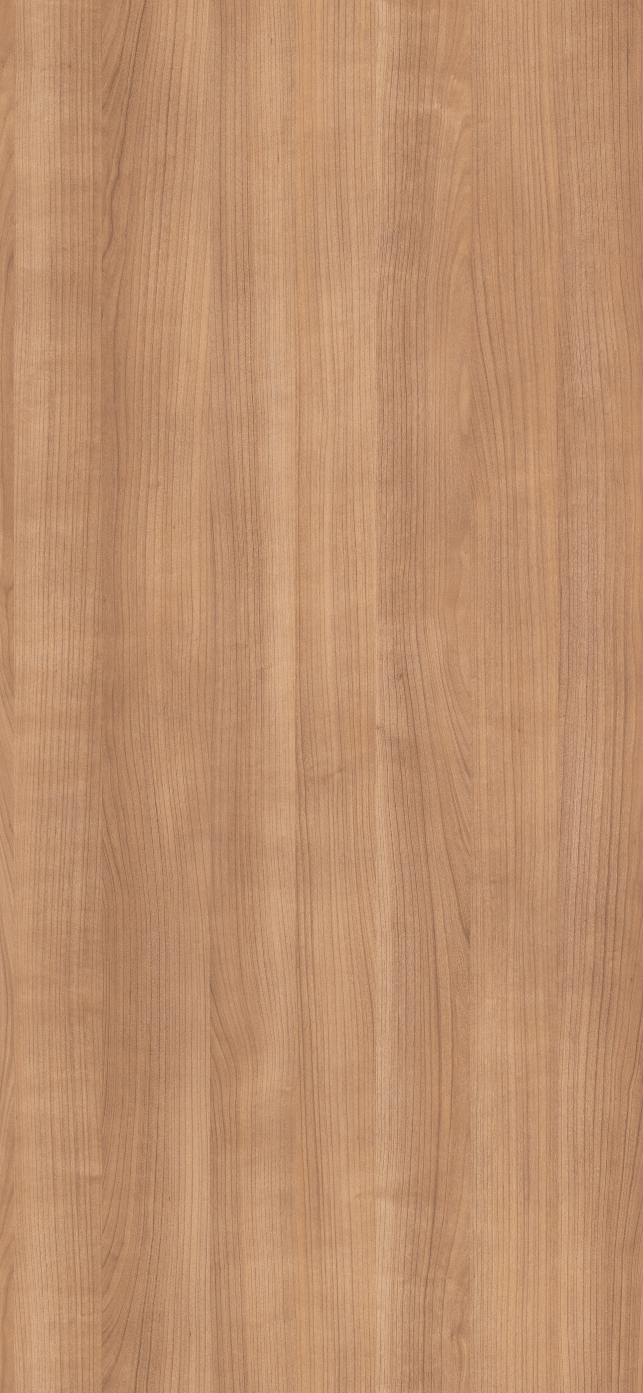 SP CERE XACOBEO BALM 7X9&nbsp;&nbsp;36MM