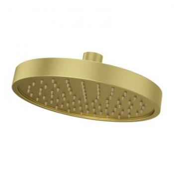CONTEMPRA RAINCAN SHOWERHEAD