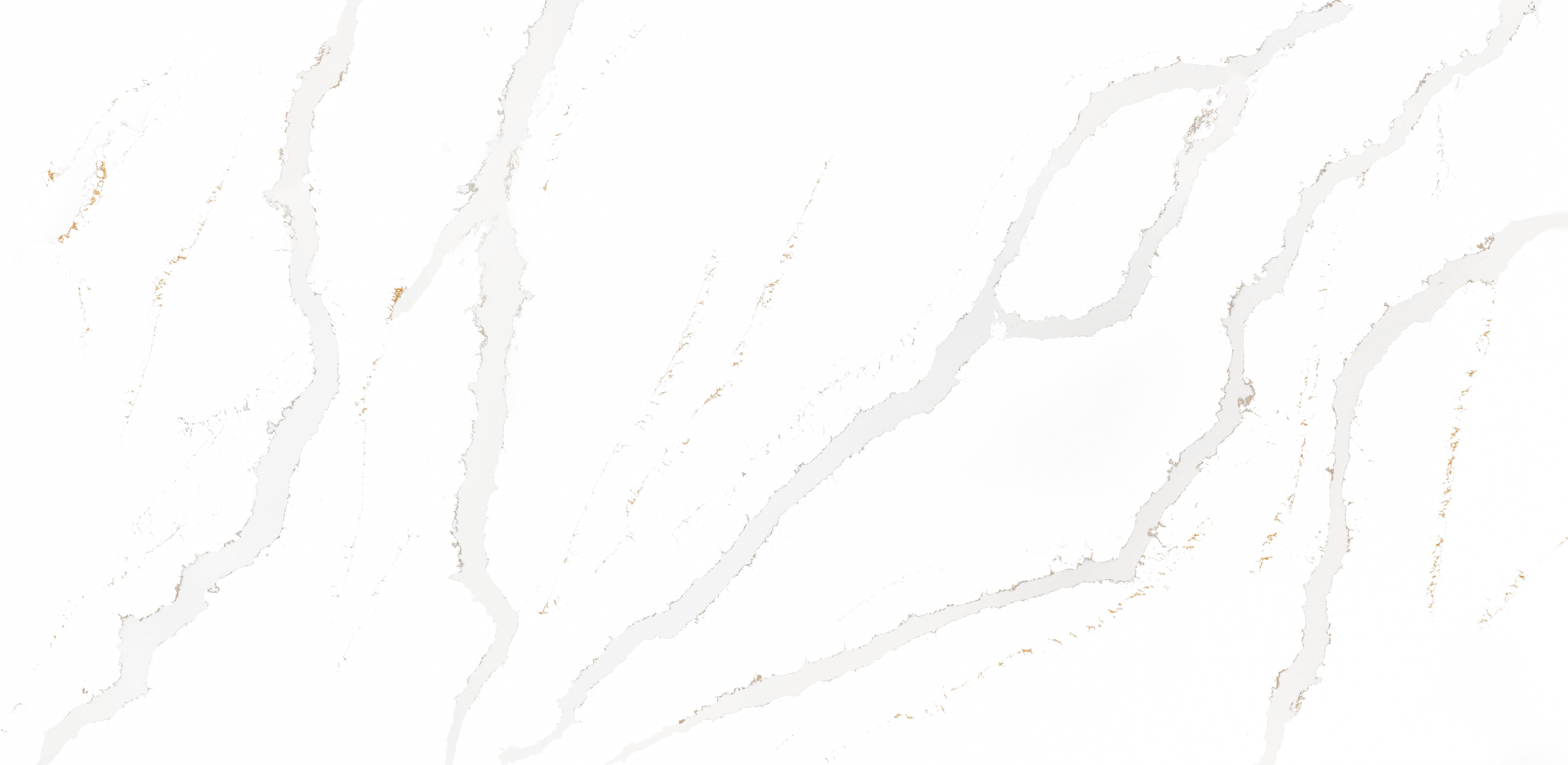 CALACATTA PALETINO 65"X130''