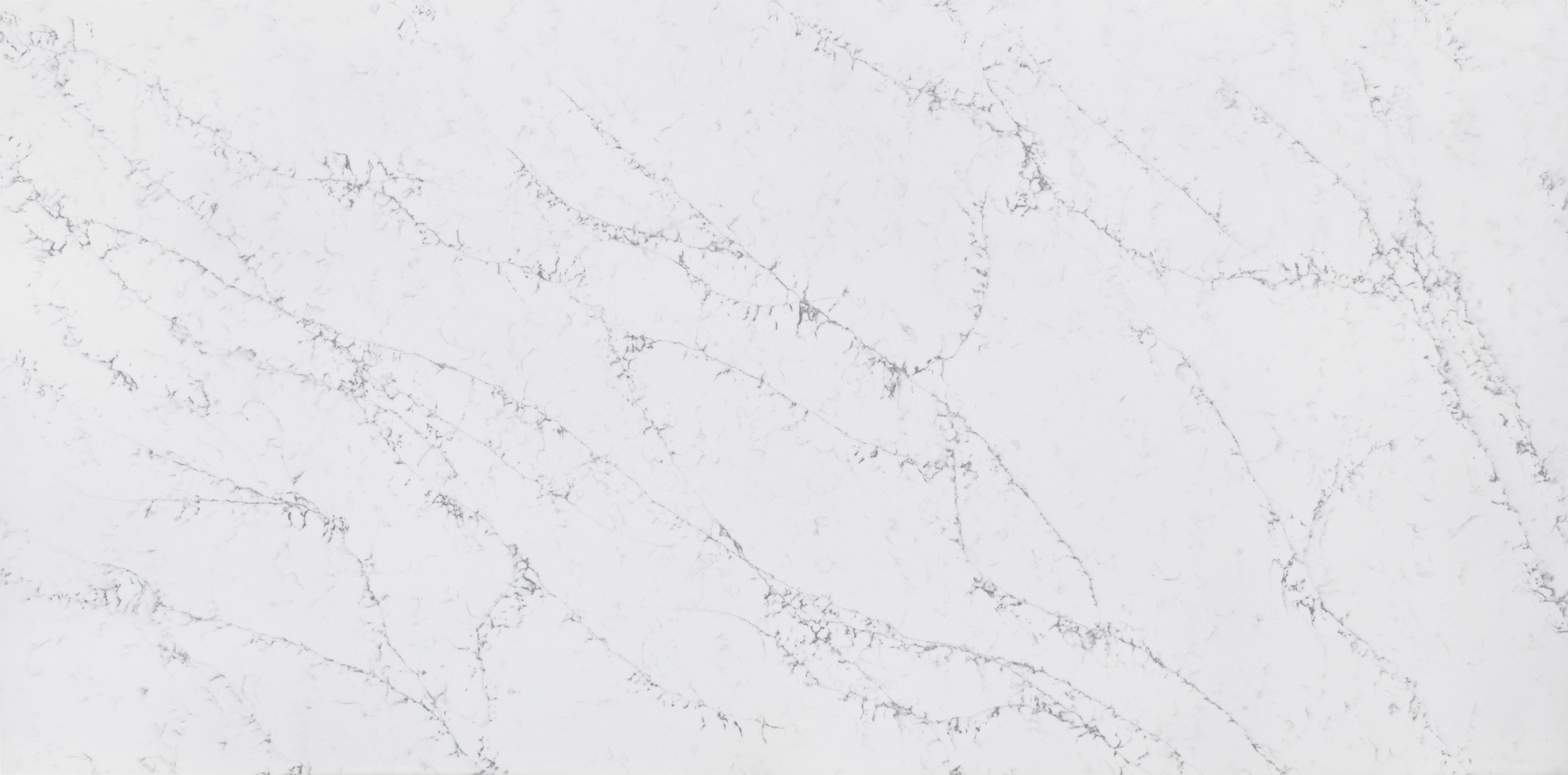 STATUARIO CRUX 65''X130''