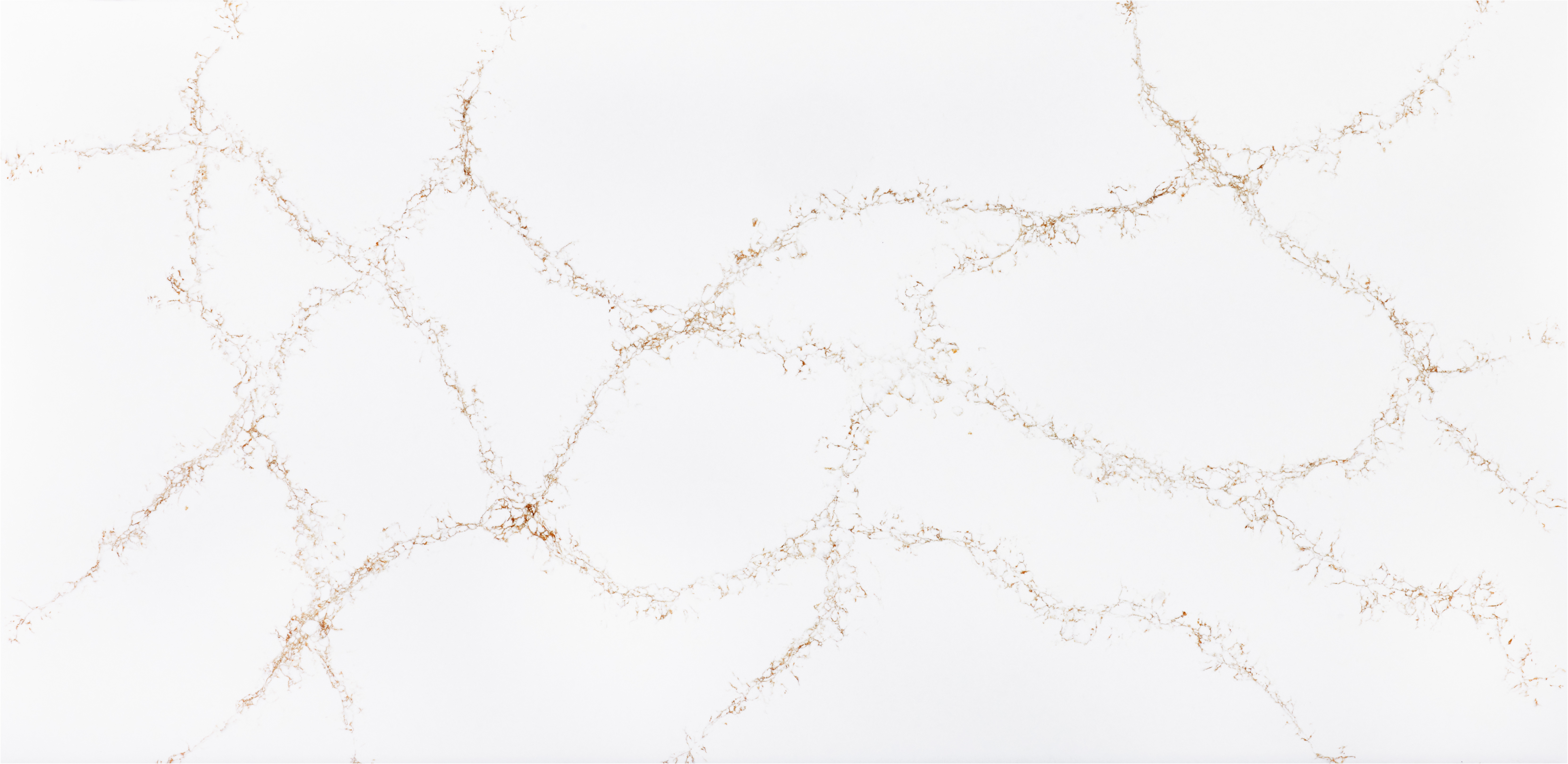 STARDUST 65"X130"