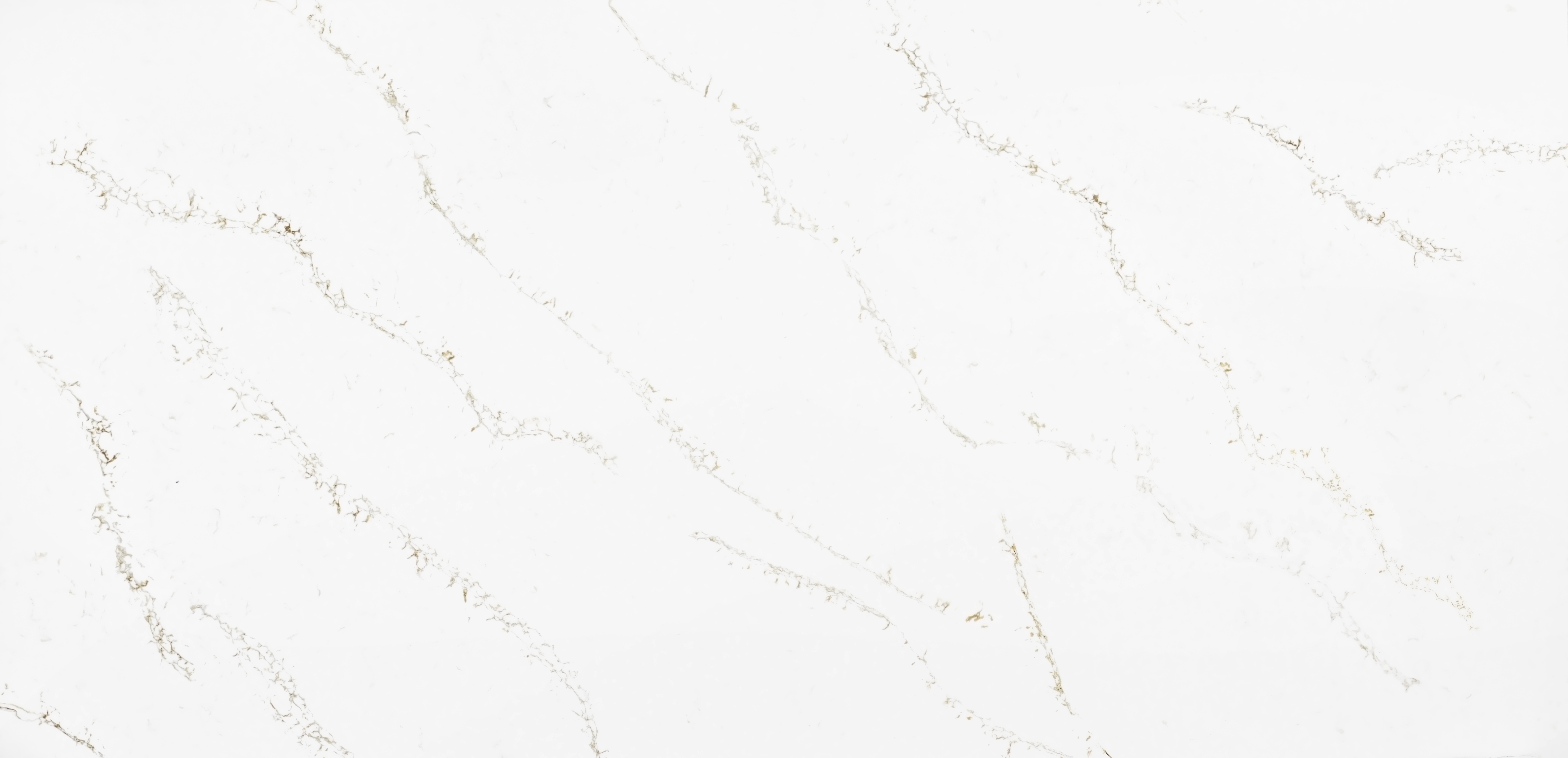 STATUARIO VOLGA  65'' X 130''