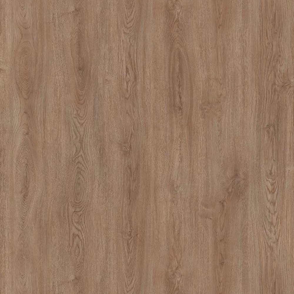 Harmony Cherrybark Oak Panel 14171 OSC 4' x 8' 18mm