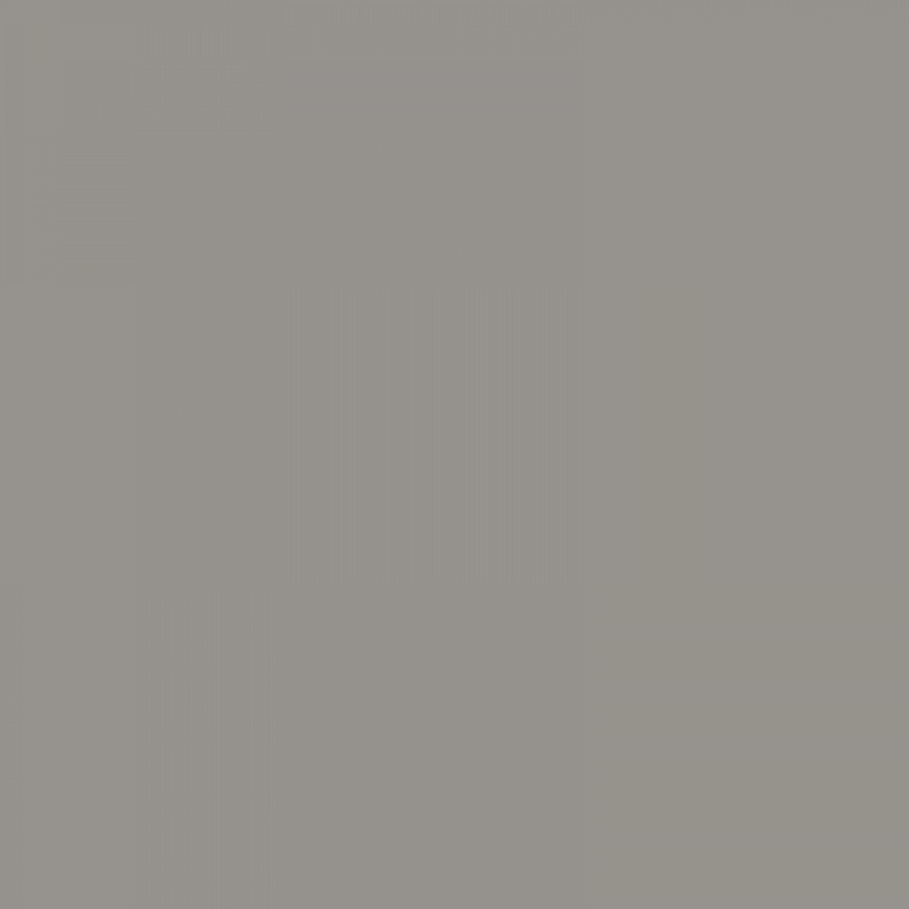 Plasnor Acrylic High Gloss Dust Grey (PL55400H)