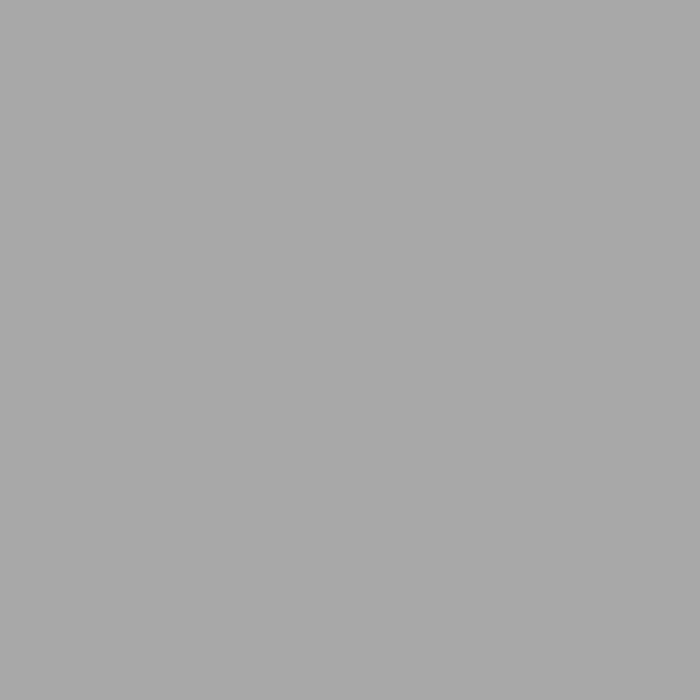 Plasnor Acrylic Matt Metallic Grey (PL58217M)