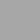 Plasnor Acrylic Matt Metallic Grey (PL58217M)