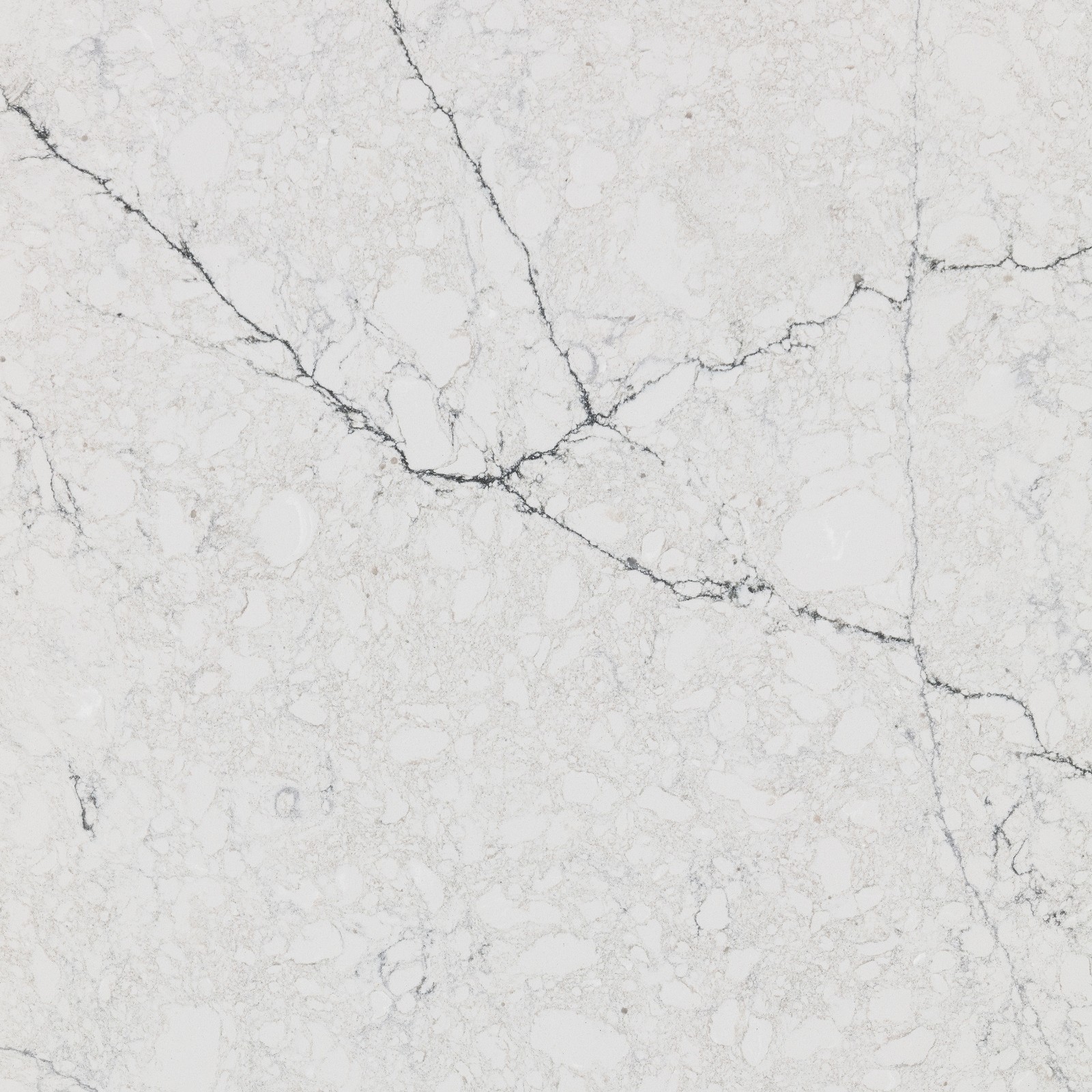 Quartzforms Forest Betulla 4010 Polished Quartz Slab 61" x 126" 2cm