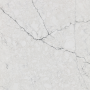 Quartzforms Forest Betulla 4010 Polished Quartz Slab 61" x 126" 2cm